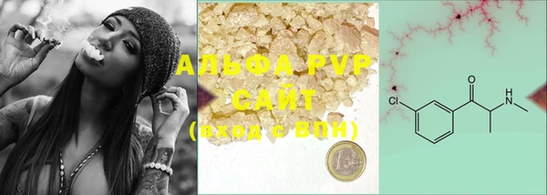 эйфоретик Баксан