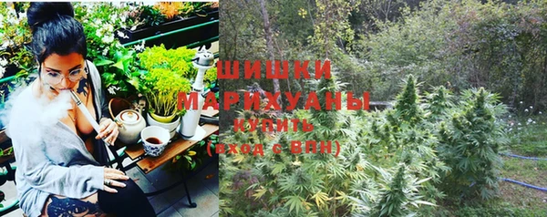 эйфоретик Баксан